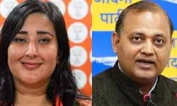 28 साल पहले भी दिल्ली की इस सीट पर भिड़े थे वकील,अब बांसुरी Vs सोमनाथ