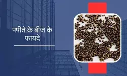 पपीता ही नहीं, इसके बीज भी हैं फायदेमंद; जानें क्या-क्या हैं फायदे?