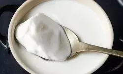 रोजाना दही खाने से नहीं होंगे इस खतरनाक बीमारी का शिकार