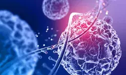 कैंसर के लिए कीमो रक्षा कवच, डेड क्रैसिनोजेनिक सेल का क्या होता है?