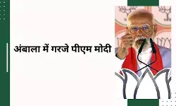 देश में धाकड़ सरकार हो तो दुश्मन कुछ भी कुछ करने से पहले 100 बार सोचता है- पीएम मोदी