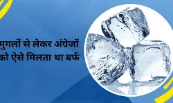 कभी लग्जरी आइटम मानी जाती थी बर्फ, केवल अमीरों की होती थी पहुंच