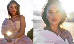 हीरामंडी की बिब्बोजान ने कान्स फेस्टिवल में दिखाई अपनी खूबसूरती, बेबी पिंक गाउन में ढाया कहर