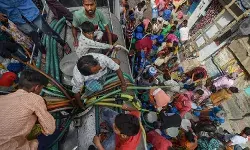 दिल्ली के जल संकट के हल के लिए शोर नहीं बल्कि काम होना चाहिए मोर