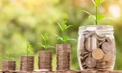 इस सरकारी स्कीम से लाखों की हो सकती है कमाई, महज 250 रुपये करने होंगे निवेश