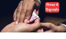 करोड़ों में था NEET क्वेश्चन पेपर का सौदा, गुजरात पुलिस की रेड में खुलासा