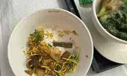 एयर इंडिया के फूड में मिला ब्लेड, यात्री ने कहा- यह खाना चाकू की तरह काट सकता है