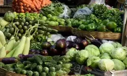 भीषण गर्मी से झूलस रहे पौधे, सब्जियों की कीमत में आया उछाल; बिगड़ा किचन का बजट