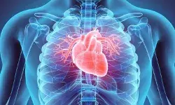 बैठे बैठे हम बीमारियों को दे रहे हैं दावत, लैंसेट की चौंकाने वाली रिपोर्ट