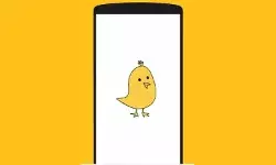 सोशल मीडिया की देसी चिड़िया की उड़ान होने जा रही है बंद, जानें कारण