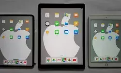 एप्पल के खजाने से भारत को सौगात मिलने की उम्मीद, जानें क्या है खास