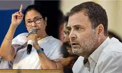 विधानसभा उपचुनाव के नतीजों पर विपक्ष ने कसा तंज, कहा- BJP के झूठ का बुलबुला फूट गया