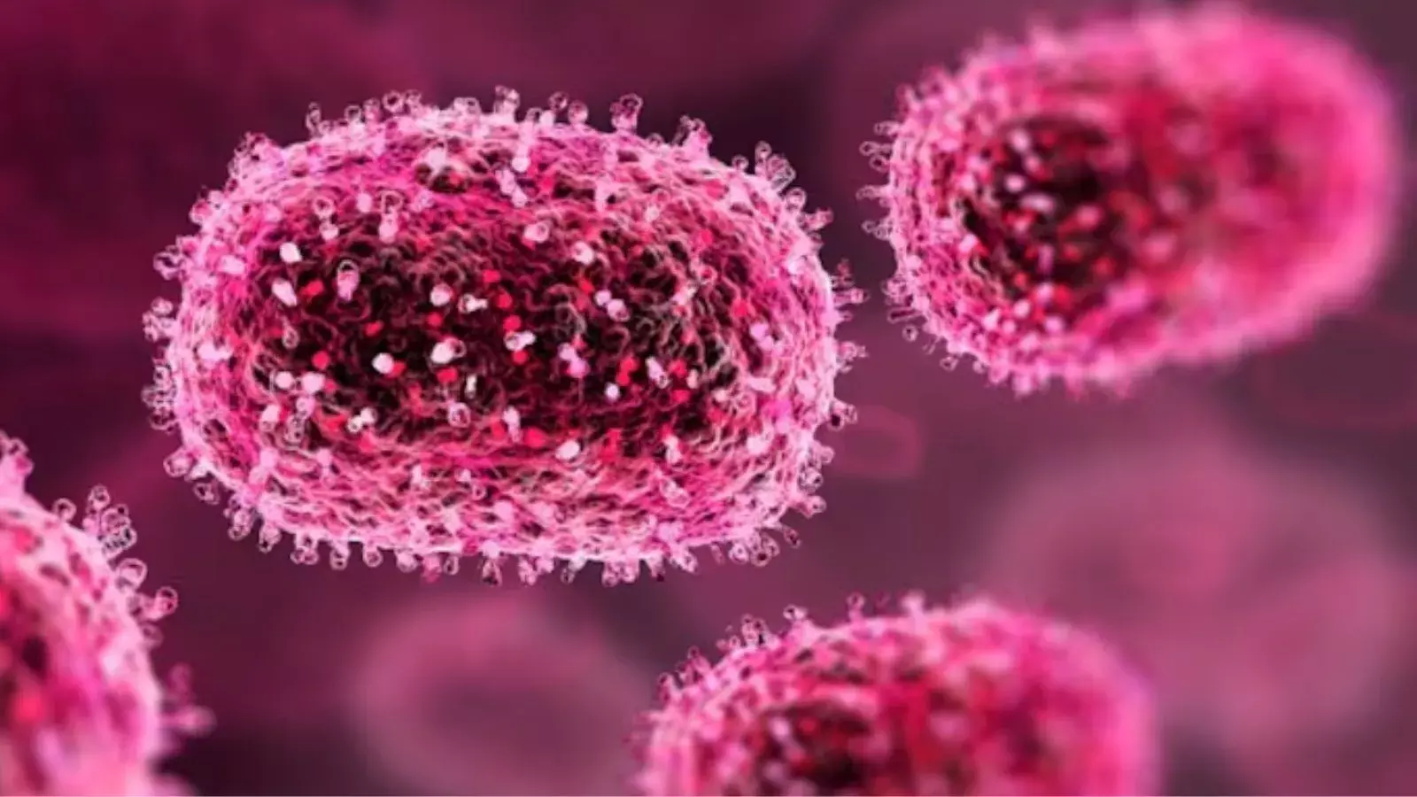 चांदीपुरा वायरस: गुजरात में पहली मौत की खबर, जानें संक्रमण के बारे में पूरी जानकारी