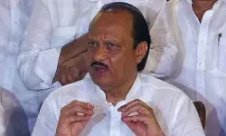 अजित पवार ने निकाय चुनावों के नाम पर अकेले चलने का किया इशारा, महायुति में सब ठीक?