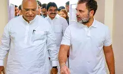 कांग्रेस ने माँगा सेबी प्रमुख का इस्तीफा, न देने पर 22 अगस्त को देश व्यापी आन्दोलन