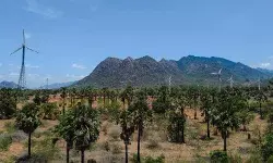 तमिलनाडु में पवन ऊर्जा की अपार संभावना, फिर भी क्यों है चुनौती ?