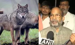 बेजुबान लेकिन बेहद खतरनाक, 35 गांव के लोगों का जीना मुहाल, यूपी के MLA ने थामी रायफल