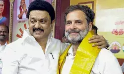 दोस्ती की नई इबारत! CM स्टालिन के साइकिल चलाने पर राहुल का रिएक्शन, बोला-Brother हम कब...