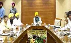 पंजाब के मुख्यमंत्री के आश्वासन के बाद किसान यूनियन ने ख़त्म किया प्रदर्शन