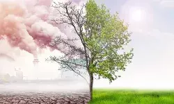 Climate change: अमेरिका-इंडिया बना सकते हैं बेहतर दुनिया! ग्रीन रोजगार से बढ़ेगी इनकम