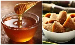 गुड़ या शहद: वजन घटाने में कौन है बेहतर?