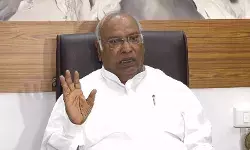 हरियाणा चुनाव: कांग्रेस में विश्लेषण जारी, इस रिपोर्ट के आधार पर होगी कार्रवाई