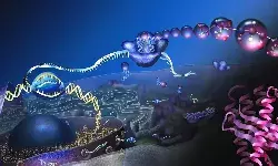 शरीर की साइज कुछ भी हो, प्रोटीन का खेल है बेहद निराला