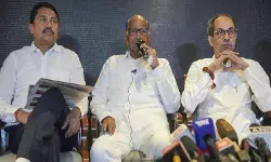 महाराष्ट्र चुनाव: एमवीए सहयोगियों के लिए 85-85-85 फॉर्मूले के पीछे पवार का विचार