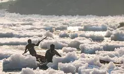 मैं अब झाग वाली नदी हूं, आखिर यमुना के इस हाल के लिए कौन है जिम्मेदार?