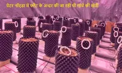 फ्लैट के अन्दर गांजे की खेती : ग्रेटर नॉएडा की नामी सोसाइटी में चल रही थी नशे की नर्सरी