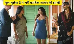 इस फिल्म ने भर दिया कार्तिक आर्यन का खजाना, मेहनताने से पांच गुना अधिक की कमाई