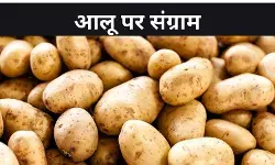आलू पर क्यों छिड़ी जंग, देश के तीन राज्य आमने सामने