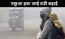 पछुआ हवा आई उत्तर भारत में ठंड बढ़ाई, दिल्ली का न्यूनतम तापमान 8 डिग्री पर पहुंचा