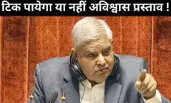 विपक्ष का अविश्वास प्रस्ताव, पास हो पायेगा या नहीं, क्या कहता है संविधान ?