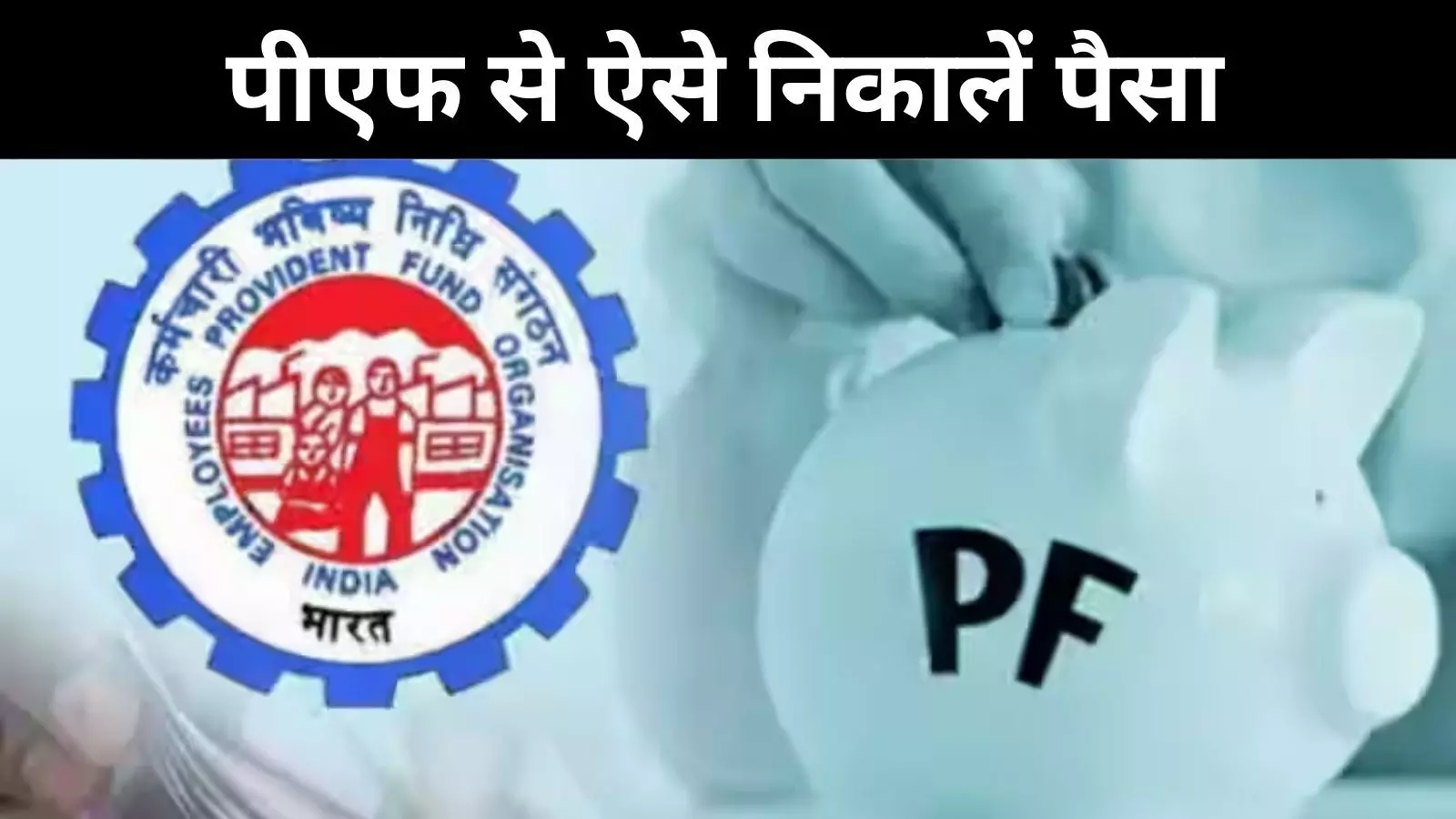 PF से निकालना चाहते हैं पैसा, जानें कैसे करें ऑनलाइन आवेदन; जानें स्टेप बाय स्टेप