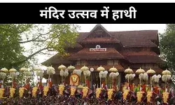 मंदिर परंपरा क्या हाथियों को दे रही दिक्कत, कानूनी फैसले पर नजरिए में फर्क