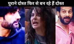 Vivian Dsena ने Karan Veer Mehra के लिए लिया स्टेंड, Avinash Mishra से टूट रहा है रिश्ता