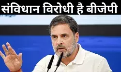 संसद में धक्का-मुक्की पर बोले राहुल गांधी, अंबेडकर विवाद से ध्यान हटाने की बीजेपी की कोशिश