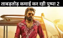 बॉक्स ऑफिस पर गर्दा उड़ा रही पुष्पा 2, भारत में नेट कलेक्शन 1 हजार करोड़ के पार