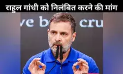 अंबेडकर विवाद की आंच से आहत बीजेपी, राहुल गांधी को घेरने की कर रही कोशिश