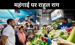 महंगाई का मुद्दा अजीब विपक्ष में आते बदलते हैं सुर, राहुल बोल से समझिए