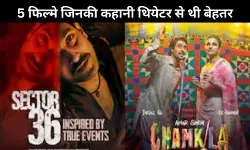 YearEnd 2024: ये है इस साल की सबसे ज्यादा देखी जानें वाली हिट OTT फिल्में