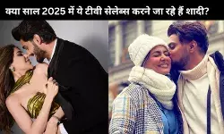 रील के बाद अब रीयल कपल की तैयारी, इन टीवी सितारों के नाम शामिल