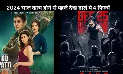 2024 साल खत्म होने से पहले जरूर देखें ये हिंदी फिल्में