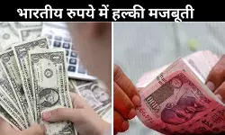 लगातार गिरावट के बाद संभला भारतीय रुपया, जानें क्या रही वजह