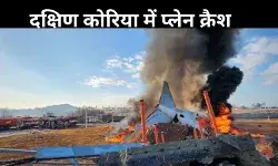 दक्षिण कोरिया में बड़ा विमान हादसा! 179 यात्रियों की मौत, केवल 2 ही बचे जिंदा