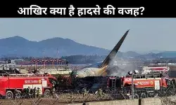 South Korea plane crash: लैंडिंग गियर में खराबी या पक्षियों का टकराव, आखिर क्या रही विमान हादसे की वजह?