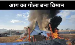 क्या हुआ, मैं यहां क्या हूं, जेजू एयरलाइन हादसे में जिंदा शख्स ने जो कहा