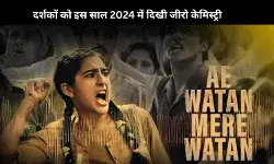 YearEnd 2024: Akshay-Vaani से लेकर Triptii-Kartik तक ऐसी जोड़ी जिनके बीच दर्शकों को दिखी जीरो केमिस्ट्री