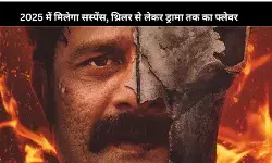 सस्पेंस, थ्रिलर और ड्रामा का तड़का, जानें- इन वेब सीरीज को कब देख सकेंगे